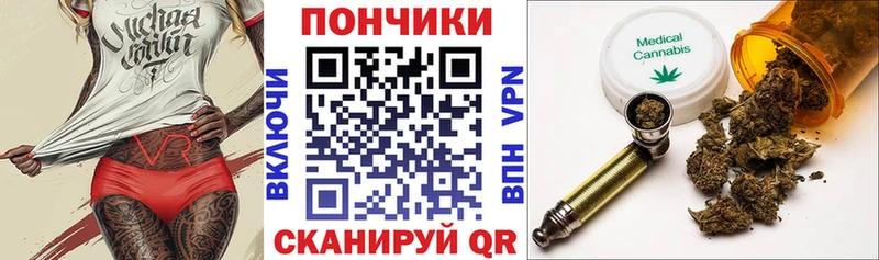 как найти закладки  Пугачёв  Конопля SATIVA & INDICA 